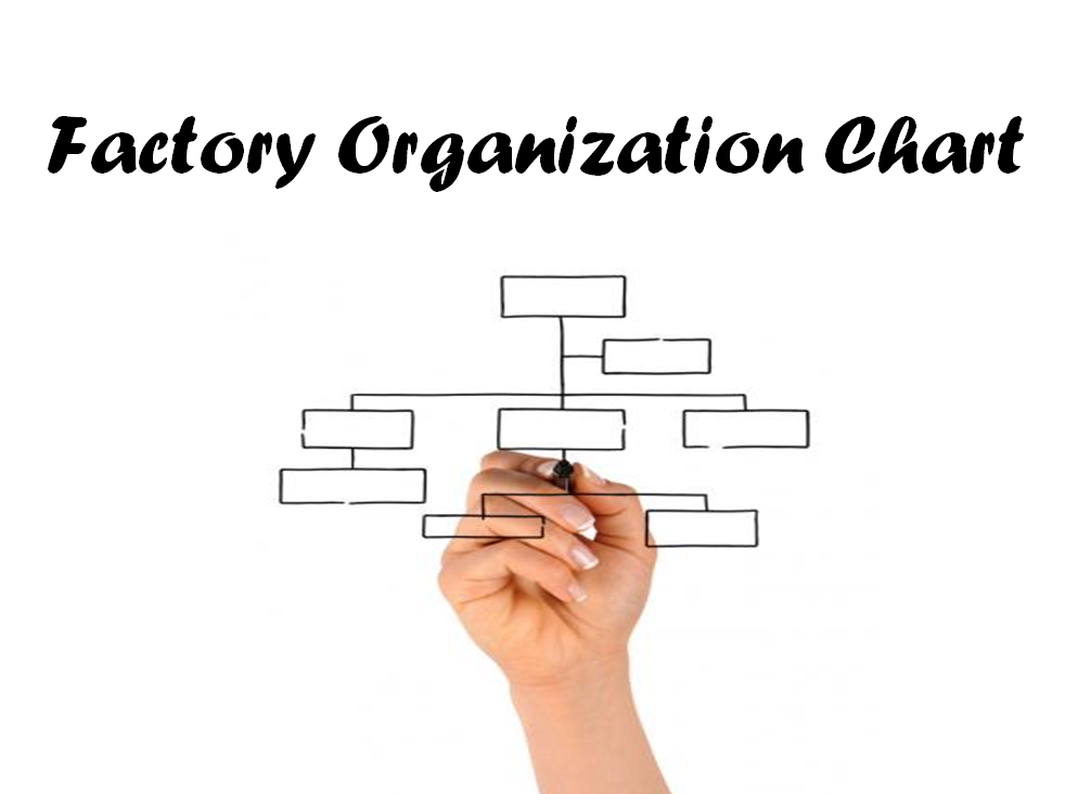 Factory Organization Chart